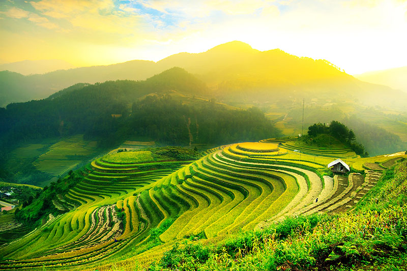 rizieres à Bali